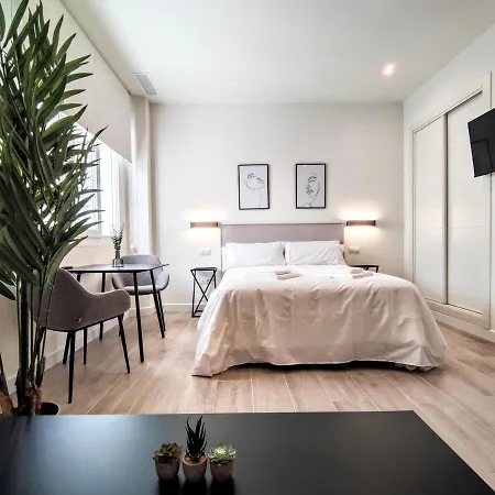 Edificio Duque Apartment Málaga