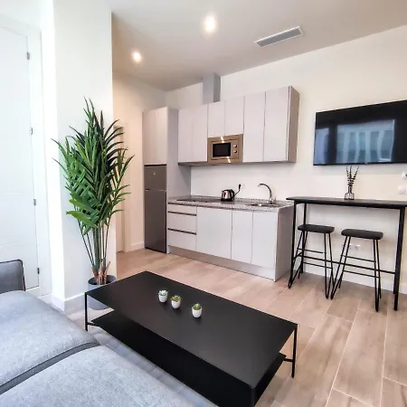 Edificio Duque 公寓