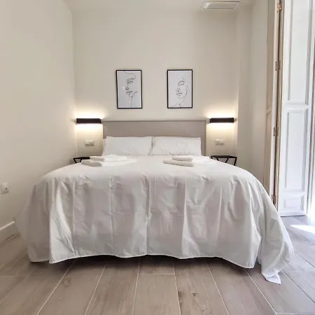 Edificio Duque 公寓